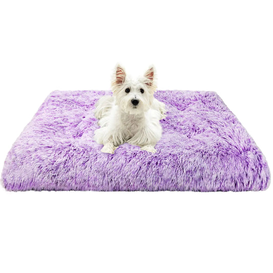 Soft Plush Dog Bed for Small Dogs - Kia Day Design