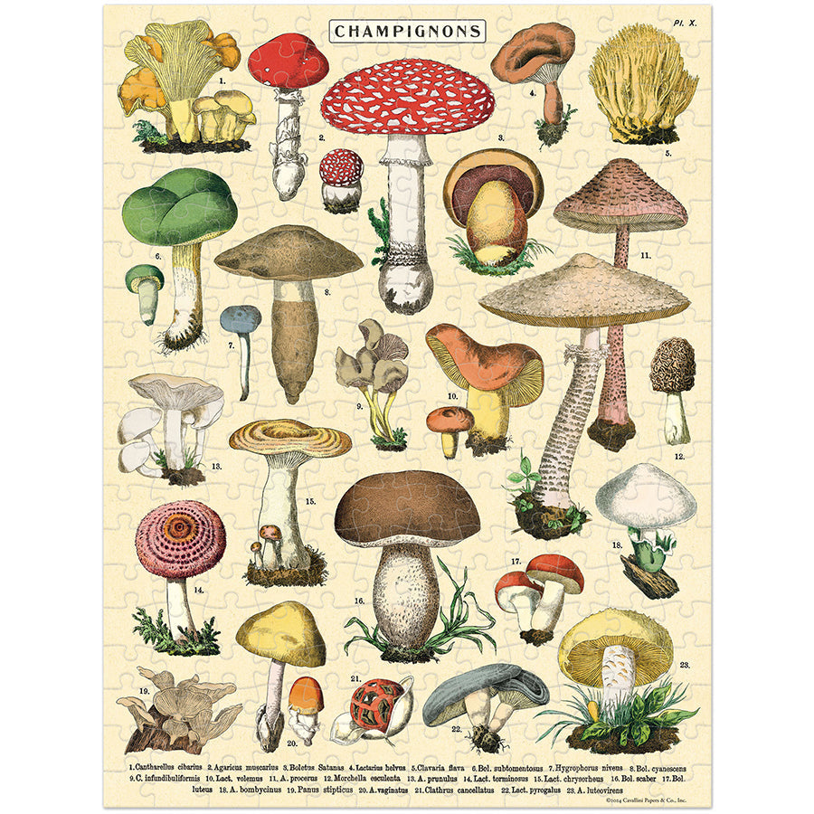 Mushroom Mini Puzzle | Cavallini & Co. - - Accessories