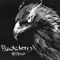 Buckcherry - Hellbound - LP Vinyl