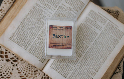 Baxter Candle - - Candles & Melts