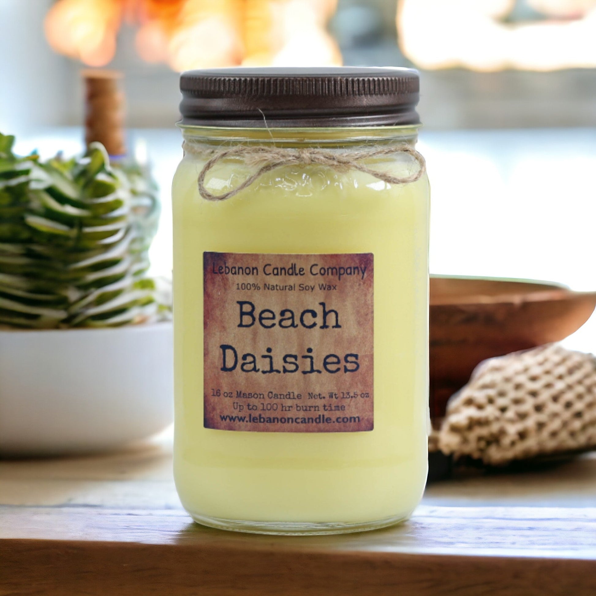 Beach Daisies Candle - - Candles & Melts
