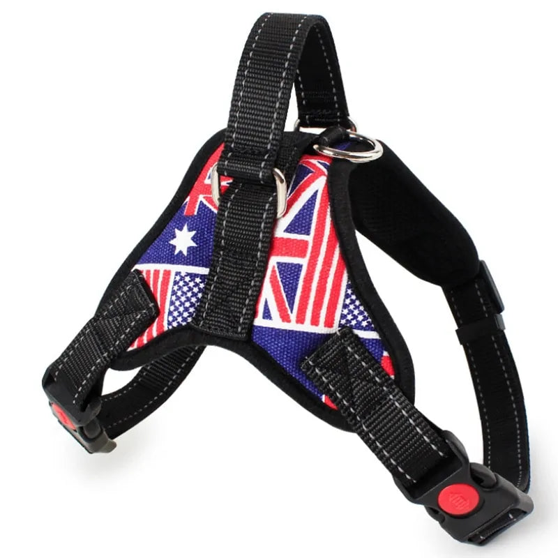 Adjustable Reflective Pet Harness Kia Day Design