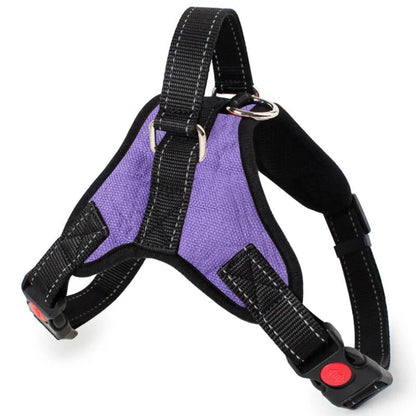 Adjustable Reflective Pet Harness Kia Day Design