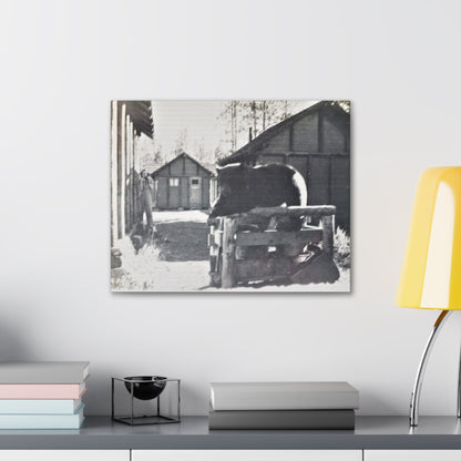 Yellowstone Bear Canvas Gallery Wraps 20″ x 16″ 1.25"