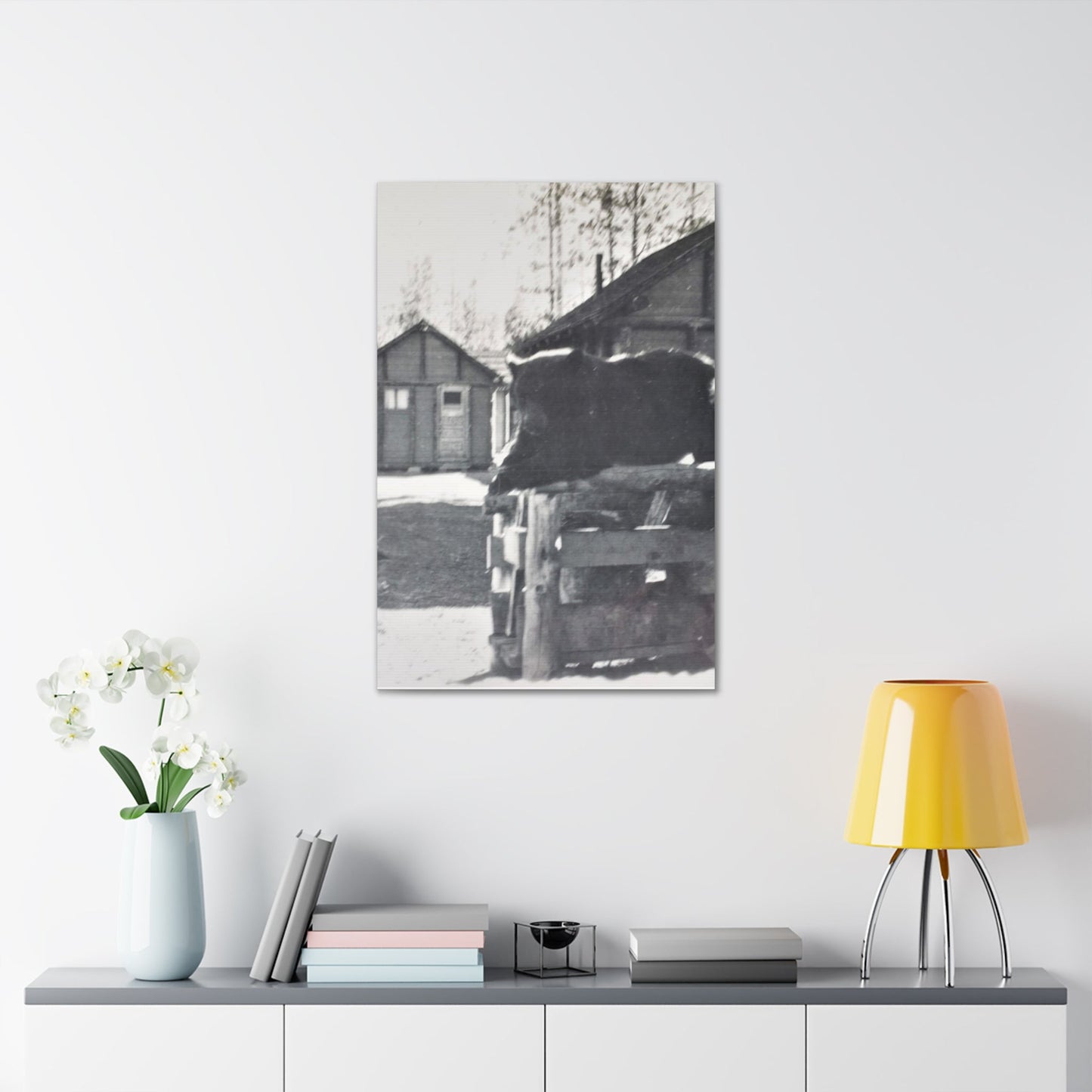 Yellowstone Bear Canvas Gallery Wraps 24″ x 36″ 1.25"