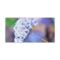 Macro Blue Canvas Gallery Wraps 20″ x 10″ 1.25"