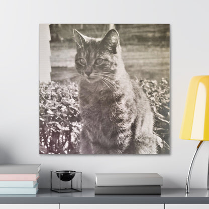 Caledonia Canvas Gallery Wraps 24″ x 24″ 1.25"