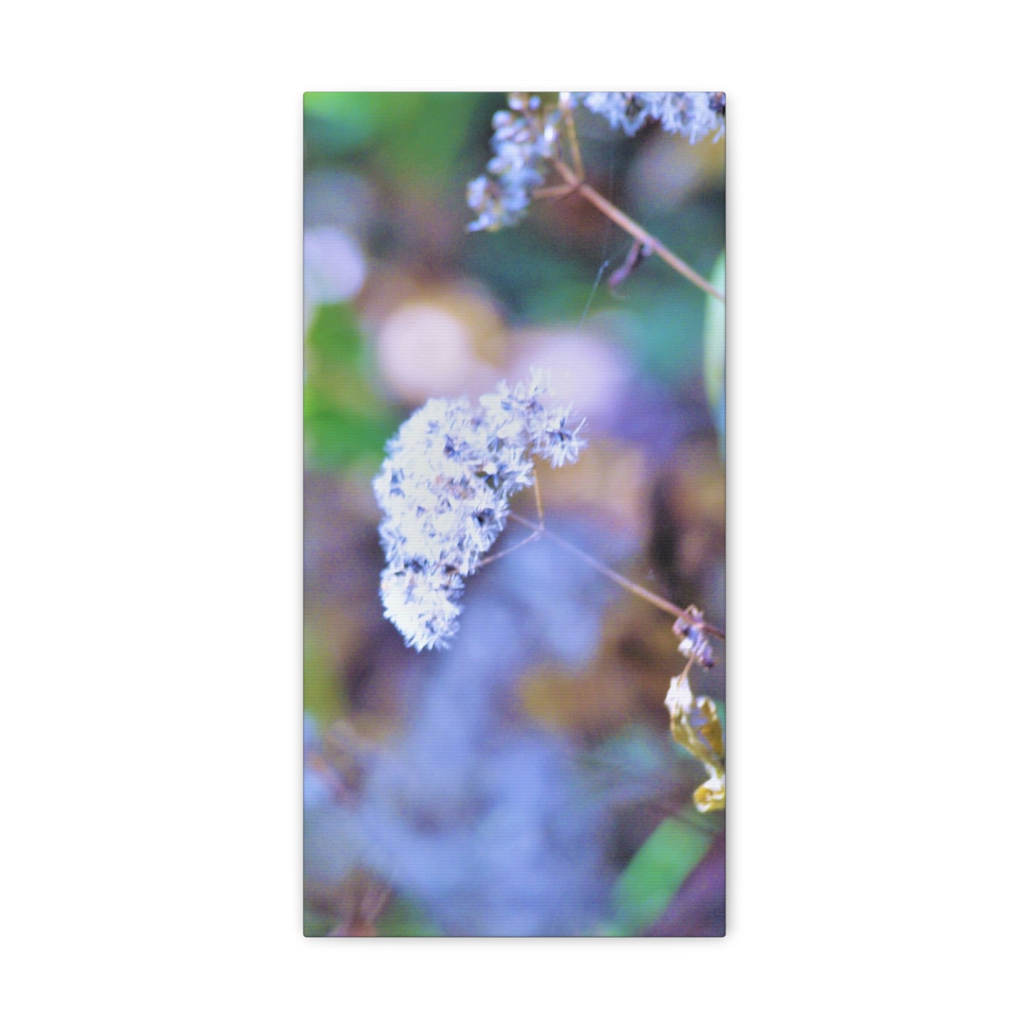 Macro Blue Canvas Gallery Wraps