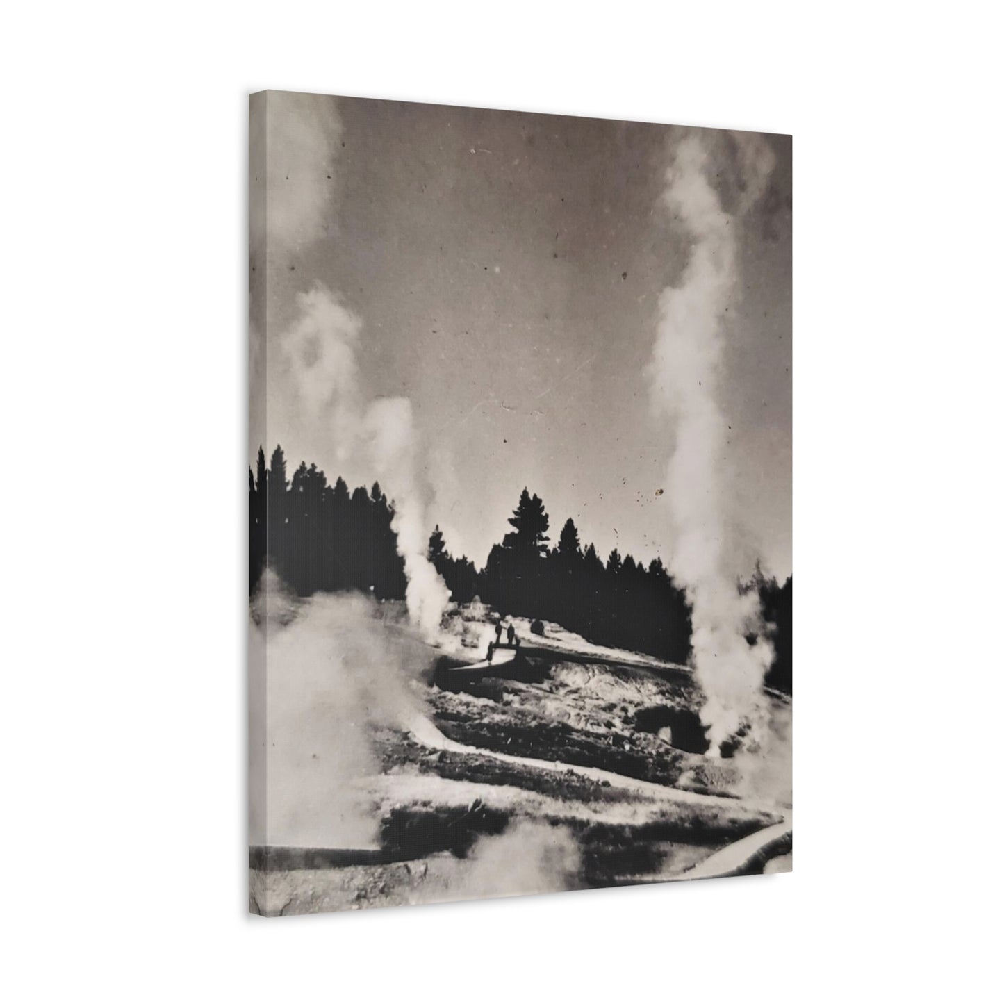 Norris Geyser Yellowstone Stretched Canvas