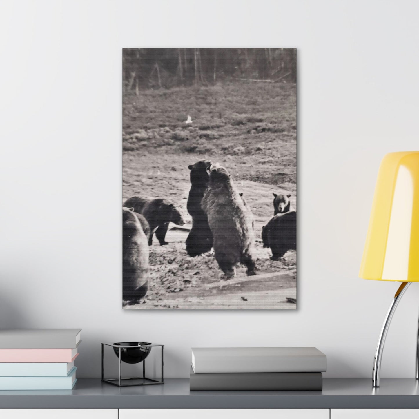 Yellowstone Grizzly Bears Canvas Gallery Wraps 16″ x 24″ 1.25"