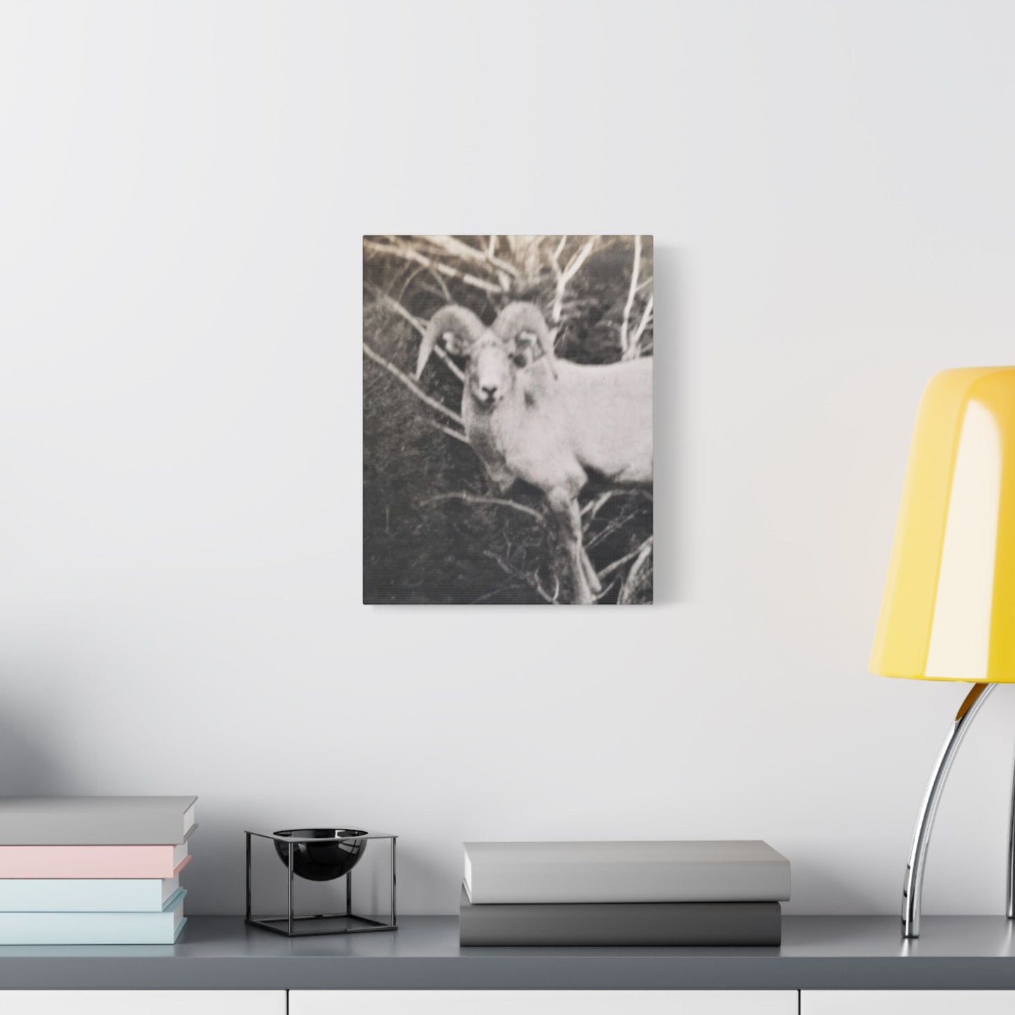 Yellowstone Big Horn Sheep Satin Canvas Stretched 11″ x 14″ (Vertical) 1.5"