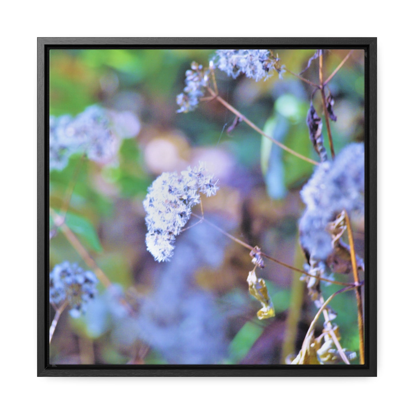 Macro Blue Gallery Canvas Wraps, Square Frame