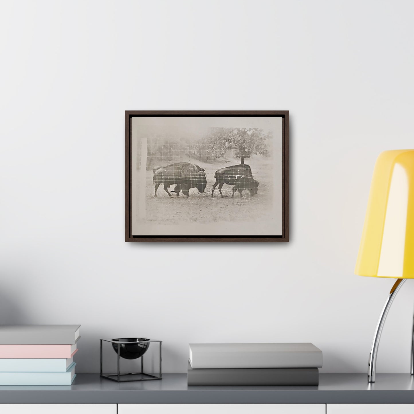 Buffalo at Redwood Falls Gallery Canvas Wraps, Horizontal Frame