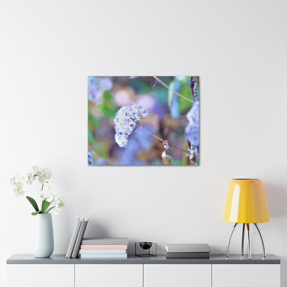 Macro Blue Canvas Gallery Wraps