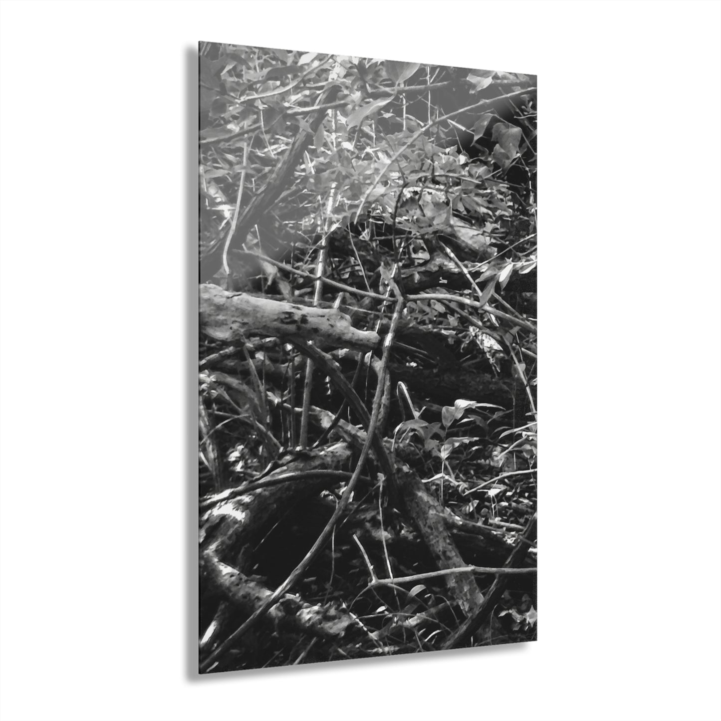 Black & White Deep Timber Path Acrylic Print French Cleat Hanging - 24" x 36" (Vertical) 0.25'' - Home Decor
