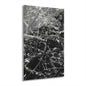 Black & White Deep Timber Path Acrylic Print French Cleat Hanging - 24" x 36" (Vertical) 0.25'' - Home Decor