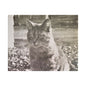 Caledonia Satin Canvas Stretched 10″ x 8″ (Horizontal) 1.5"
