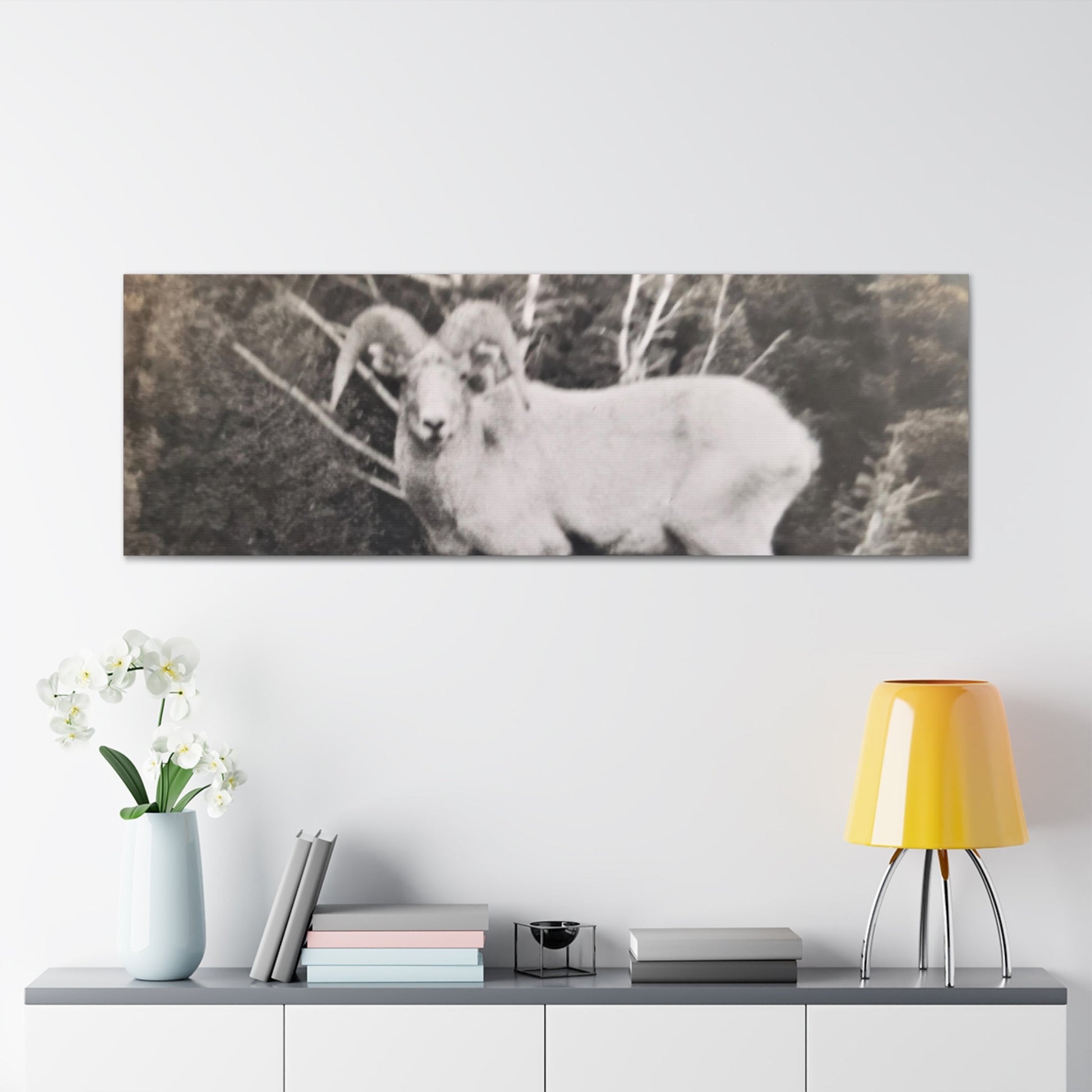Yellowstone Big Horn Sheep Canvas Gallery Wraps - 60″ x 20″ 1.25" - Canvas