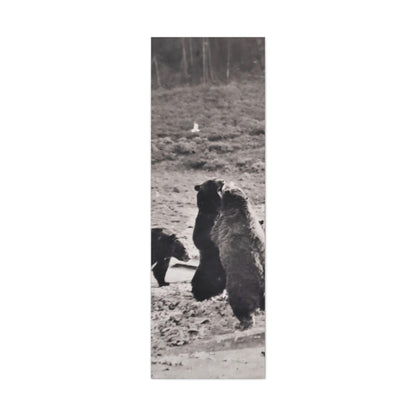 Yellowstone Grizzly Bears Canvas Gallery Wraps