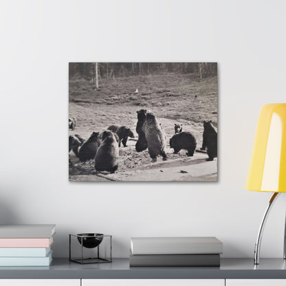 Yellowstone Grizzly Bears Canvas Gallery Wraps 20″ x 16″ 1.25"