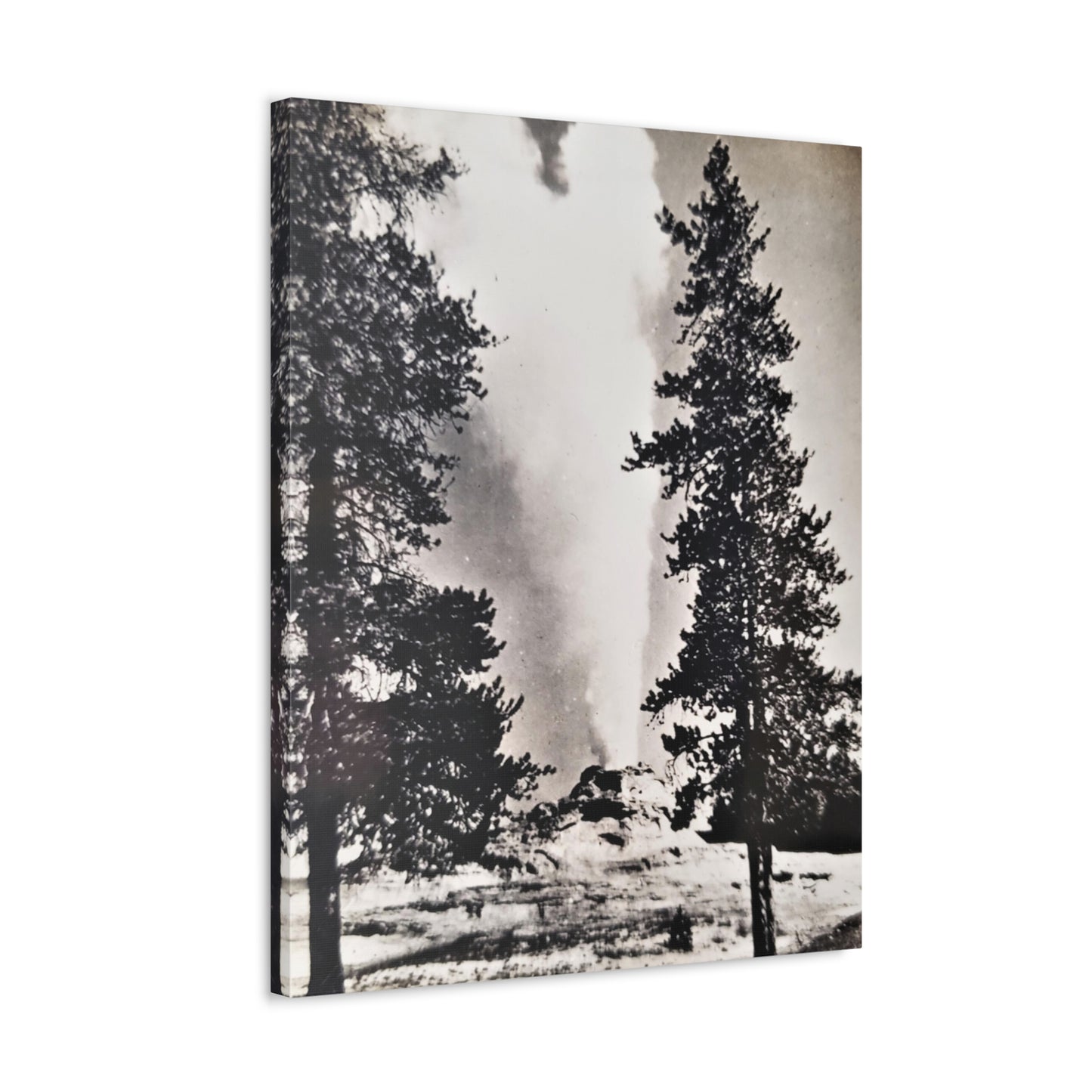 Castle Geyser Yellowstone Stretched Canvas