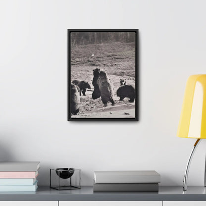 Yellowstone Grizzly Bears Gallery Canvas Wraps 12″ x 16″ Premium Gallery Wraps (1.25″) Black