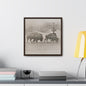 Buffalo at Redwood Falls Gallery Canvas Wraps Square Frame 16″ x 16″ Premium Gallery Wraps (1.25″) Walnut
