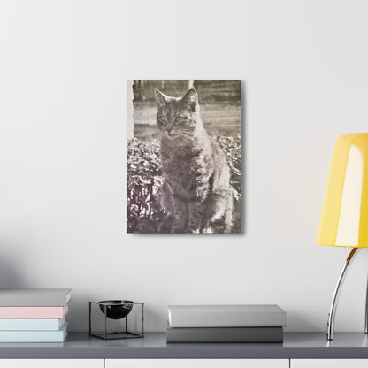 Caledonia Canvas Gallery Wraps 12″ x 16″ 1.25"