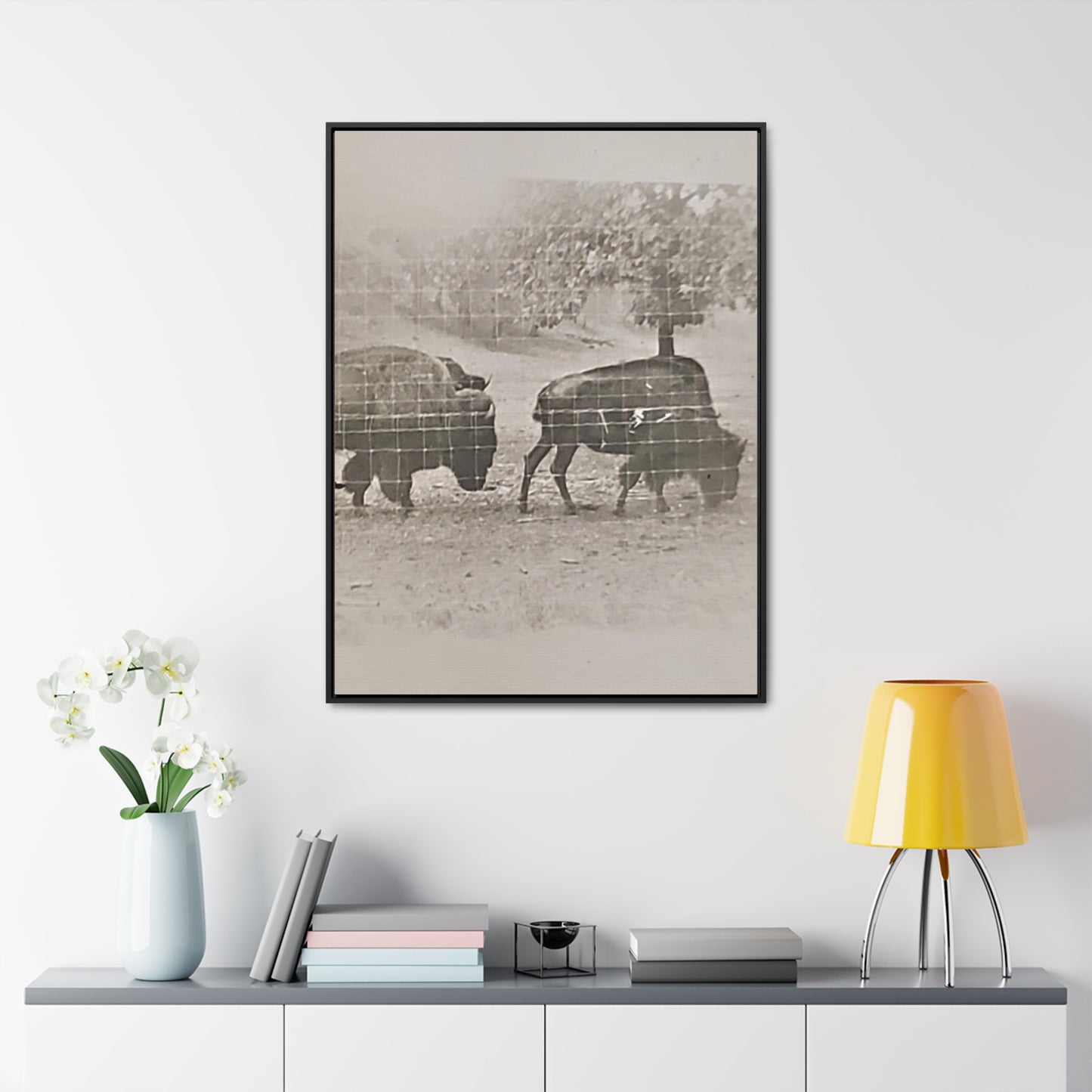 Buffalo at Redwood Falls Gallery Canvas Wraps, Vertical Frame