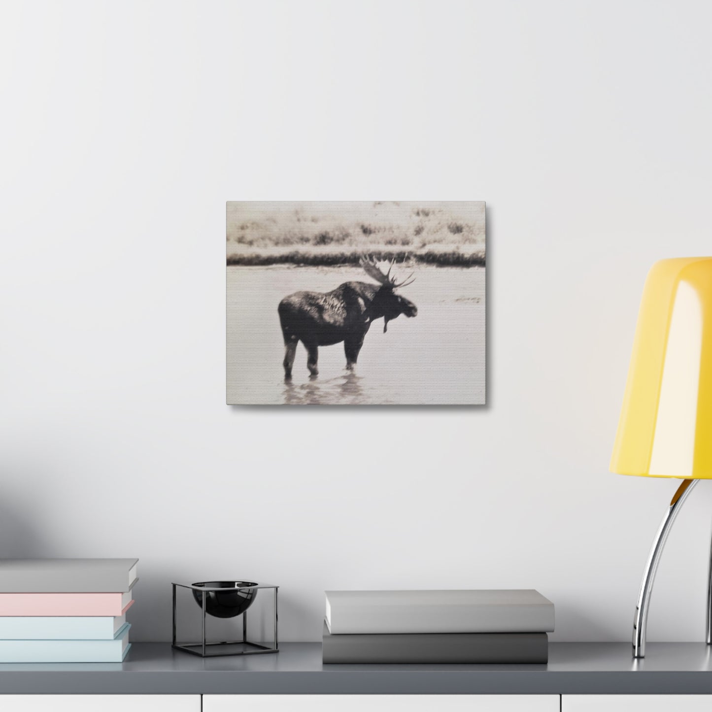 Yellowstone Bull Moose Stretched Canvas