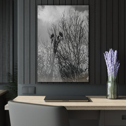 Black & White Buzzards in Winter Trees French Cleat Hanging - 24" x 36" (Vertical) 0.25'' - Home Decor
