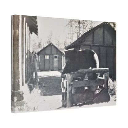 Yellowstone Bear Satin Canvas Stretched
