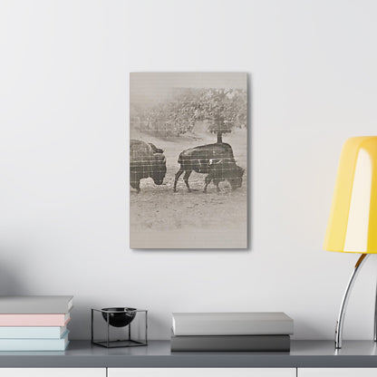 Buffalo at Redwood Falls Canvas Gallery Wraps 12" x 18" 1.25"