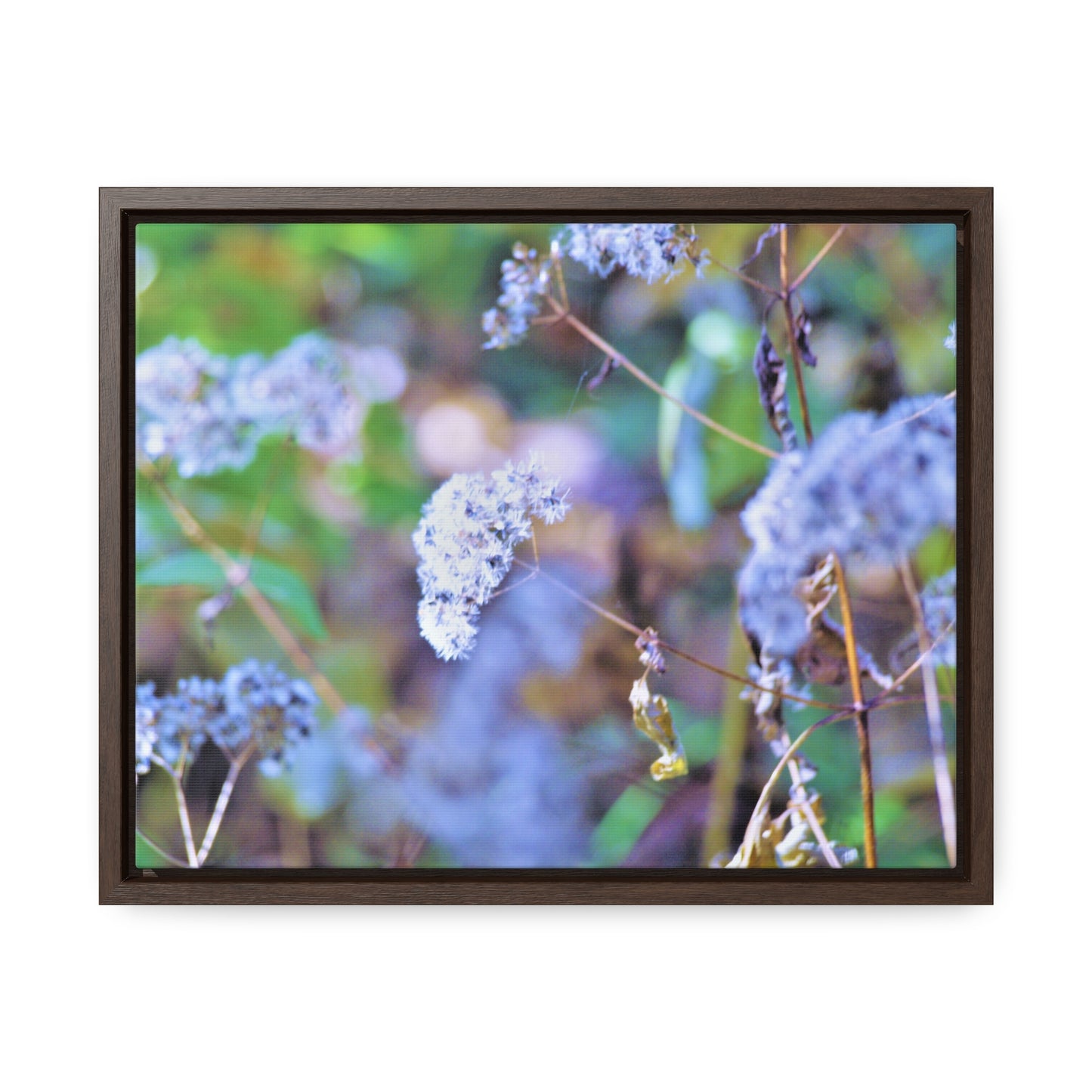 Macro Blue Gallery Canvas Wraps, Horizontal Frame