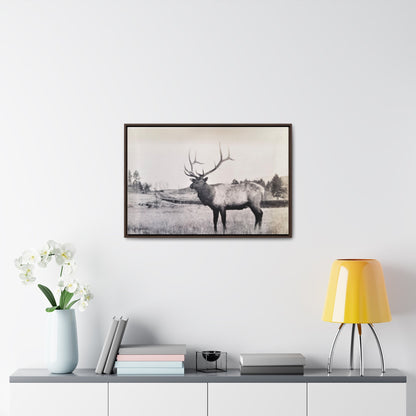 Yellowstone Bull Elk Gallery Canvas Wraps Horizontal Frame 30″ x 20″ Walnut Premium Gallery Wraps (1.25″)