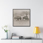 Buffalo at Redwood Falls Gallery Canvas Wraps Square Frame 30″ x 30″ Premium Gallery Wraps (1.25″) Black