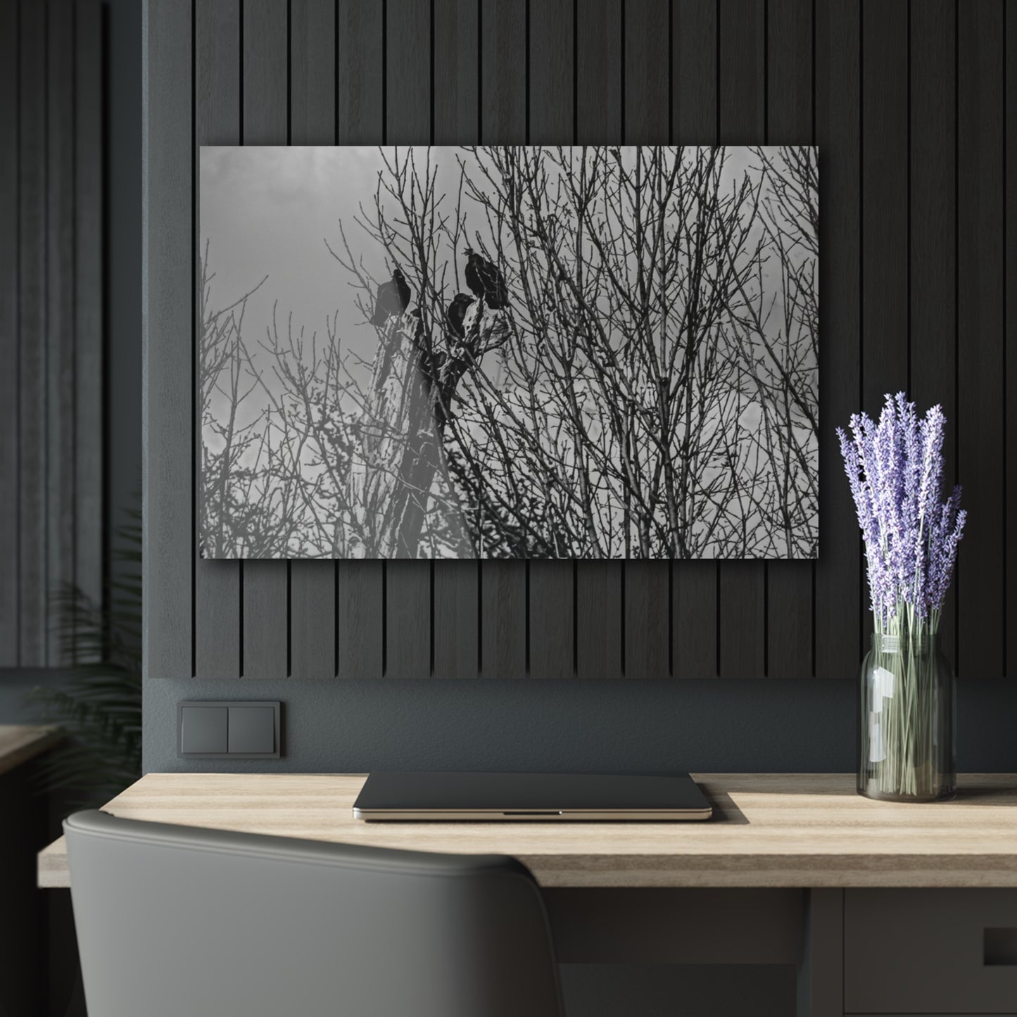 Black & White Buzzards in Winter Trees French Cleat Hanging - 36" x 24" (Horizontal) 0.25'' - Home Decor