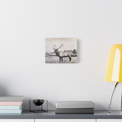 Yellowstone Bull Elk Satin Canvas Stretched 10″ x 8″ (Horizontal) 1.5"