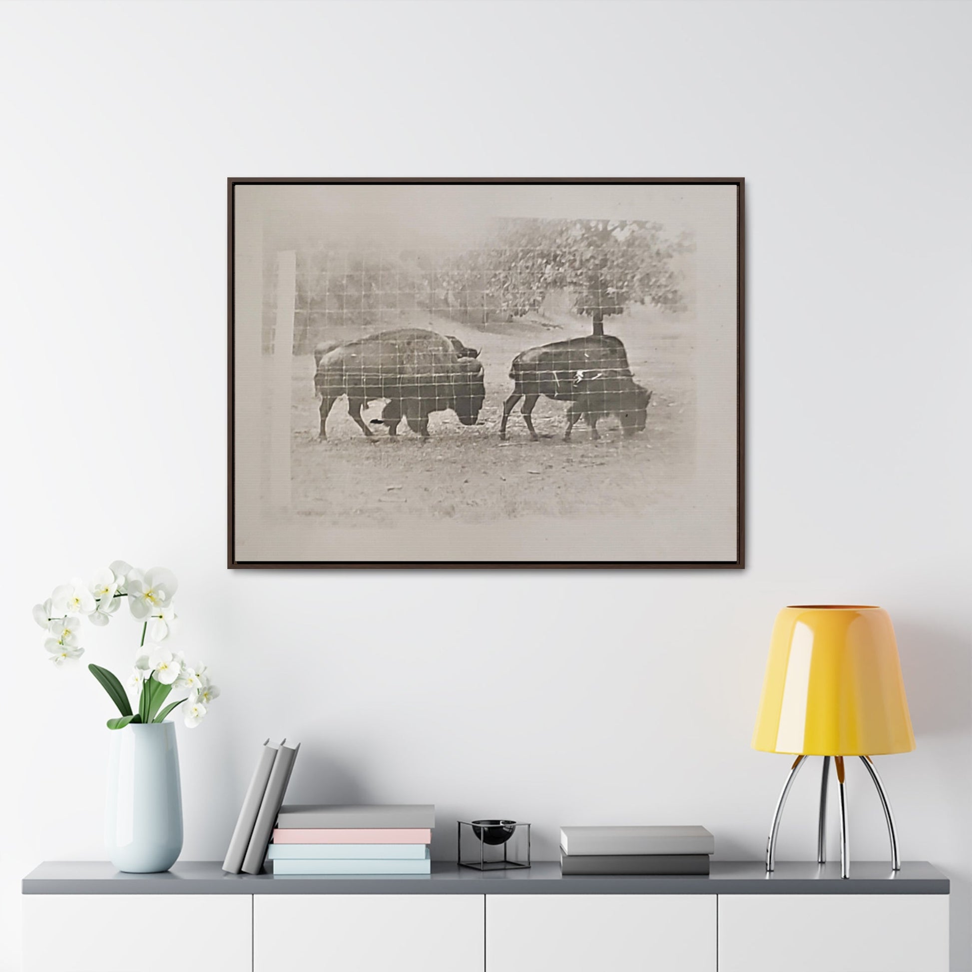Buffalo at Redwood Falls Gallery Canvas Wraps Horizontal Frame - 40″ x 30″ Walnut Premium Gallery Wraps (1.25″) - Canvas