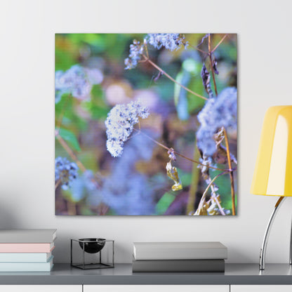 Macro Blue Canvas Gallery Wraps