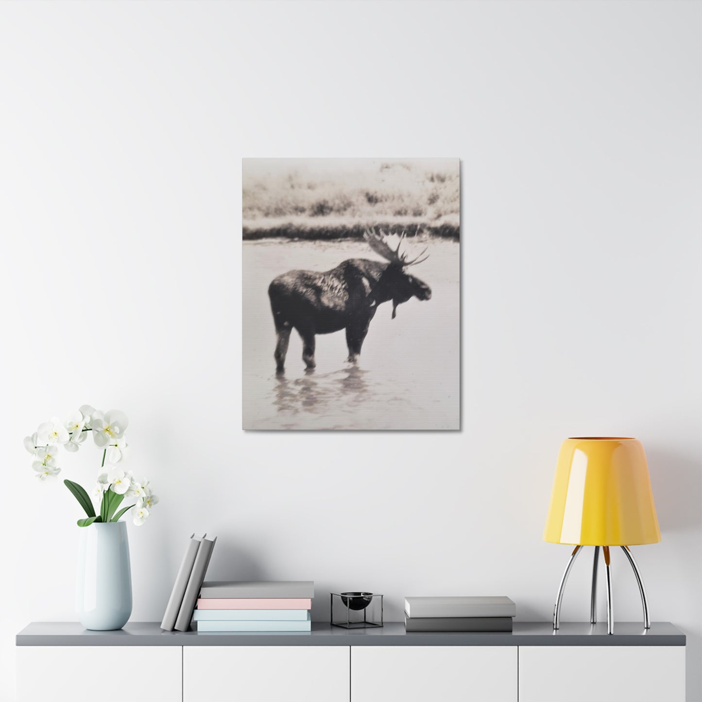 Yellowstone Bull Moose Stretched Canvas