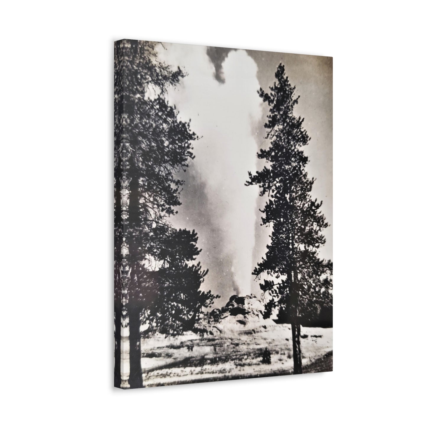 Castle Geyser Yellowstone Stretched Canvas