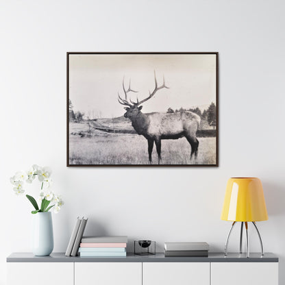 Yellowstone Bull Elk Gallery Canvas Wraps Horizontal Frame 40″ x 30″ Walnut Premium Gallery Wraps (1.25″)