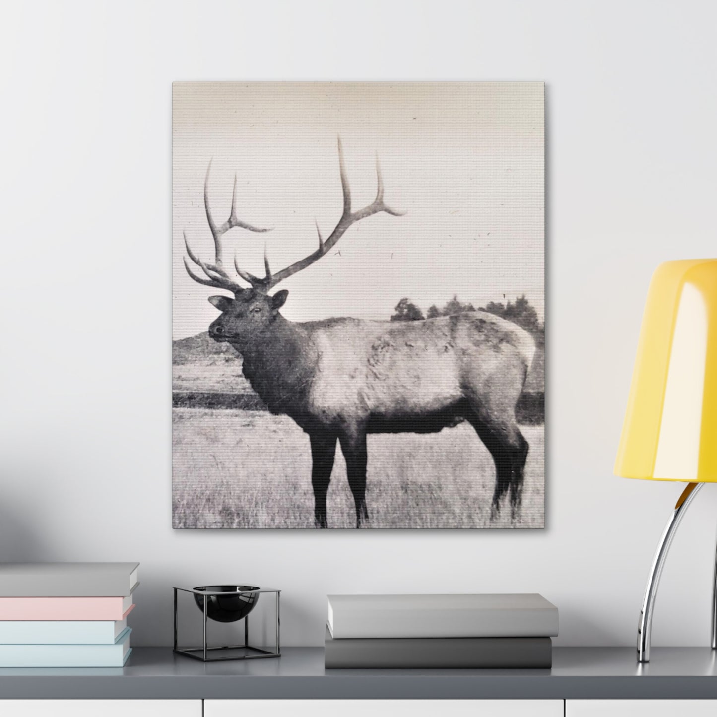 Yellowstone Bull Elk Canvas Gallery Wraps