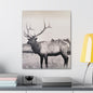 Yellowstone Bull Elk Canvas Gallery Wraps 20″ x 24″ 1.25"