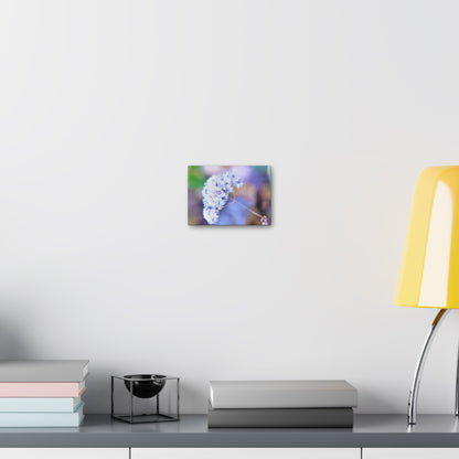 Macro Blue Canvas Gallery Wraps