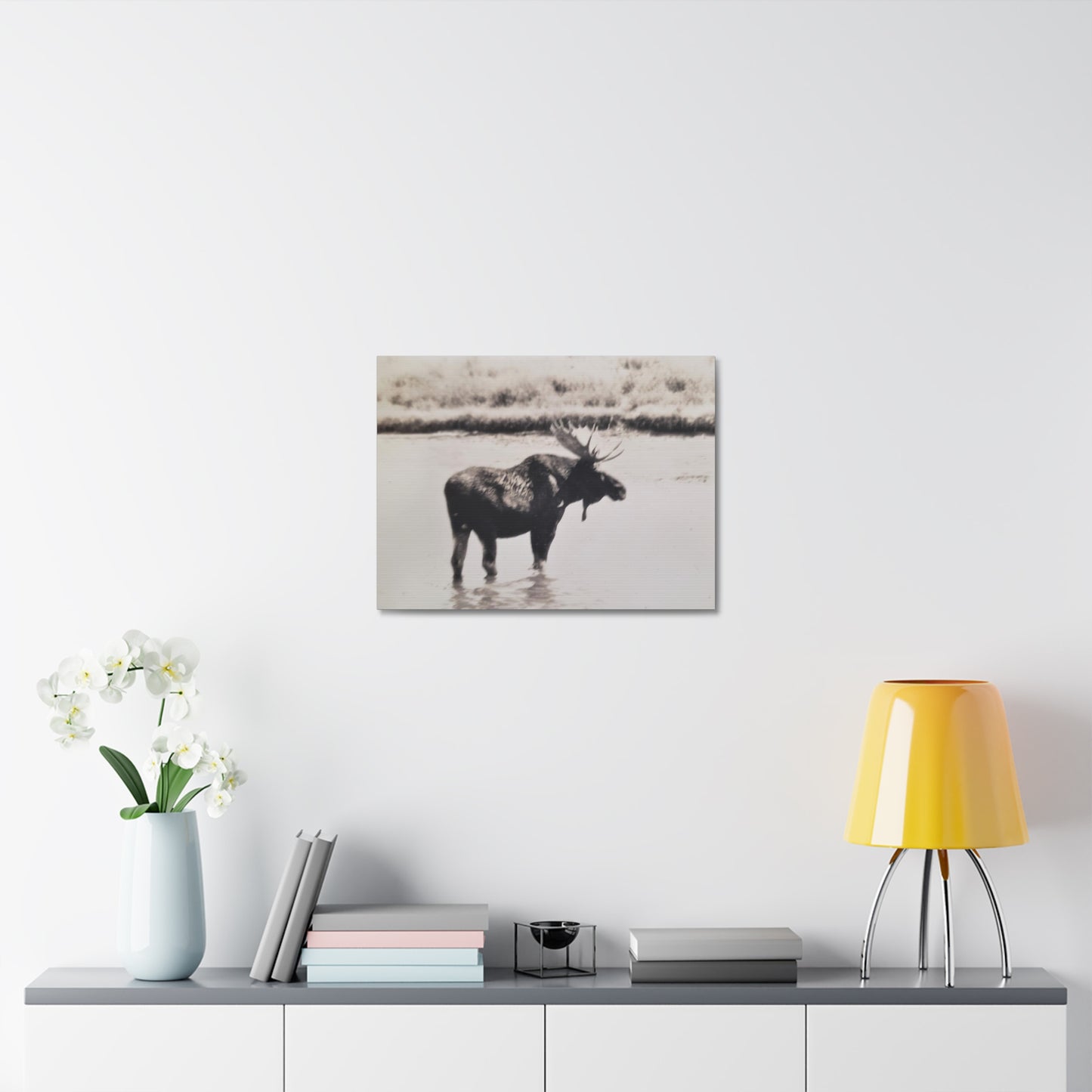 Yellowstone Bull Moose Stretched Canvas