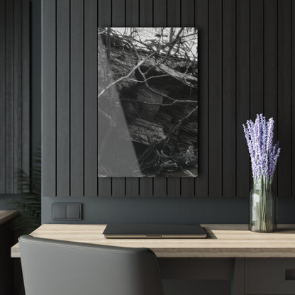 Black & White Forest Acrylic Print French Cleat Hang - 20″ x 30″ (Vertical) 0.25'' - Home Decor