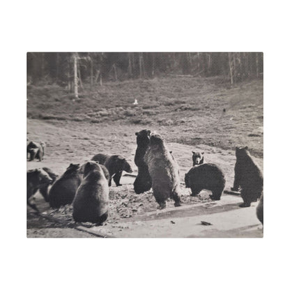 Yellowstone Grizzly Bears Satin Canvas Stretched