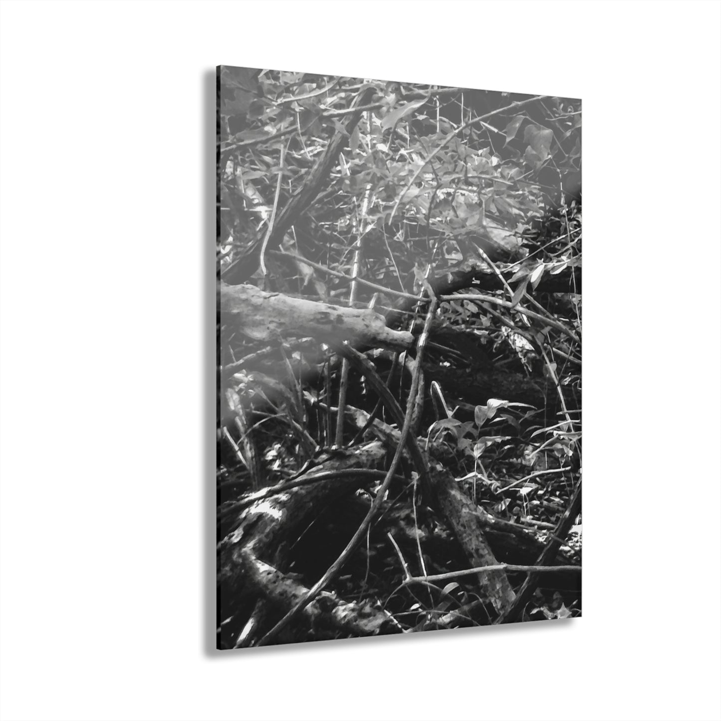 Black & White Deep Timber Path Acrylic Print French Cleat Hanging - 11″ x 14″ (Vertical) 0.25'' - Home Decor